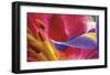 Iris Reaching-Harold Davis-Framed Giclee Print