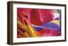 Iris Reaching-Harold Davis-Framed Giclee Print