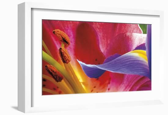 Iris Reaching-Harold Davis-Framed Giclee Print