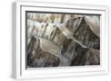 White Frame