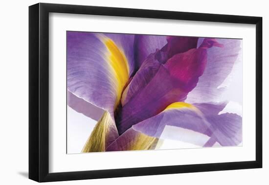 Iris Rising-Harold Davis-Framed Giclee Print