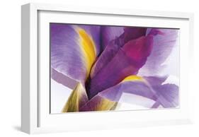 Iris Rising-Harold Davis-Framed Giclee Print