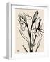 Iris Sketch IV-Grace Popp-Framed Art Print