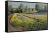 Iris Slope, 1991-Timothy Easton-Framed Stretched Canvas