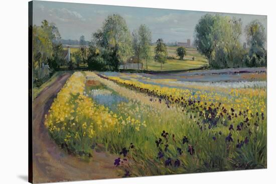 Iris Slope, 1991-Timothy Easton-Stretched Canvas