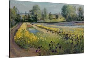 Iris Slope, 1991-Timothy Easton-Stretched Canvas