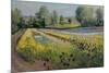 Iris Slope, 1991-Timothy Easton-Mounted Giclee Print