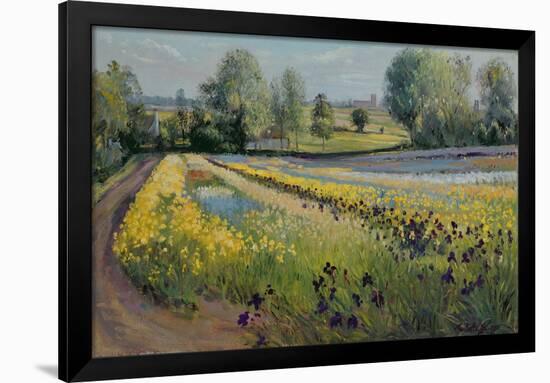 Iris Slope, 1991-Timothy Easton-Framed Giclee Print