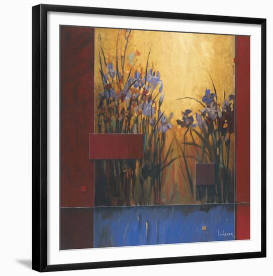 Iris Sunrise-Don Li-Leger-Framed Giclee Print