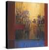 Iris Sunrise-Don Li-Leger-Stretched Canvas