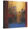 Iris Sunrise-Don Li-Leger-Stretched Canvas