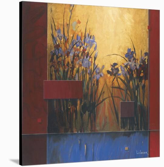 Iris Sunrise-Don Li-Leger-Stretched Canvas