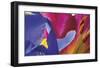 Iris Touching-Harold Davis-Framed Giclee Print