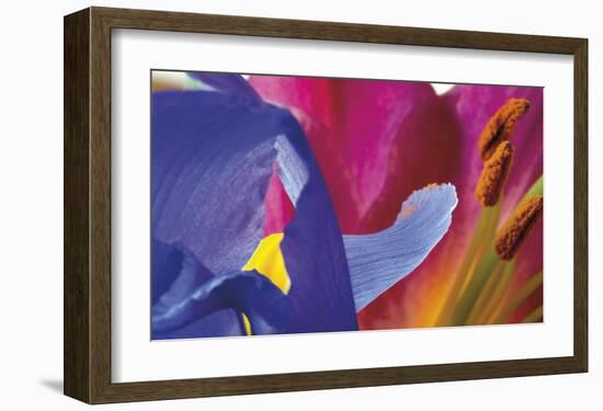 Iris Touching-Harold Davis-Framed Giclee Print