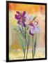 Iris V-Jenny McGee-Framed Art Print