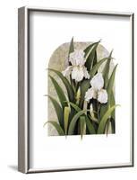 Iris Vignette-Marcia Matcham-Framed Art Print