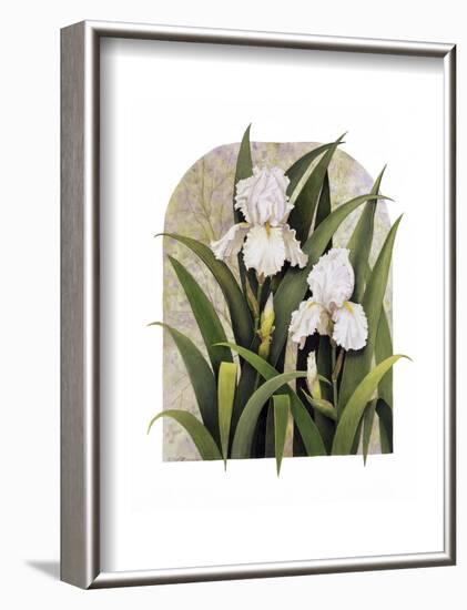 Iris Vignette-Marcia Matcham-Framed Art Print