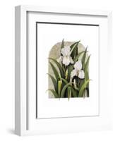 Iris Vignette-Marcia Matcham-Framed Art Print