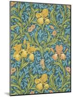 Iris Wallpaper, Paper, England, Late 19th Century-William Morris-Mounted Giclee Print