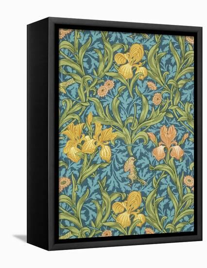 Iris Wallpaper, Paper, England, Late 19th Century-William Morris-Framed Stretched Canvas