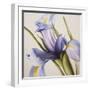 Iris Wind-Carolina Alotus-Framed Giclee Print