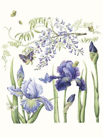 https://imgc.allpostersimages.com/img/posters/iris-wisteria_u-L-Q1CAG200.jpg?artPerspective=n