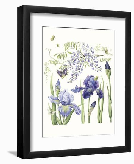 Iris & Wisteria-Janneke Brinkman-Salentijn-Framed Giclee Print