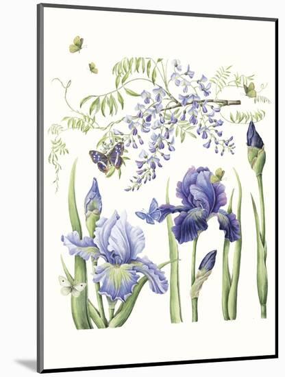 Iris & Wisteria-Janneke Brinkman-Salentijn-Mounted Giclee Print