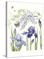 Iris & Wisteria-Janneke Brinkman-Salentijn-Stretched Canvas