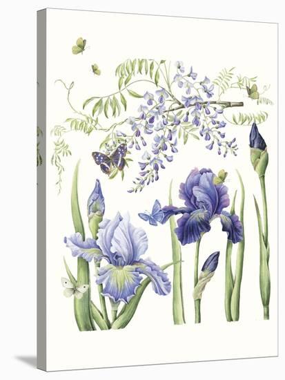 Iris & Wisteria-Janneke Brinkman-Salentijn-Stretched Canvas