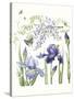 Iris & Wisteria-Janneke Brinkman-Salentijn-Stretched Canvas