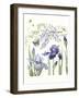 Iris & Wisteria-Janneke Brinkman-Salentijn-Framed Giclee Print