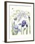 Iris & Wisteria-Janneke Brinkman-Salentijn-Framed Giclee Print