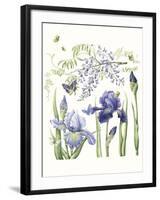 Iris & Wisteria-Janneke Brinkman-Salentijn-Framed Giclee Print