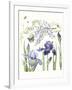 Iris & Wisteria-Janneke Brinkman-Salentijn-Framed Giclee Print