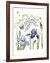 Iris & Wisteria-Janneke Brinkman-Salentijn-Framed Giclee Print