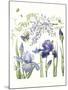 Iris & Wisteria-Janneke Brinkman-Salentijn-Mounted Giclee Print