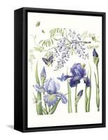 Iris & Wisteria-Janneke Brinkman-Salentijn-Framed Stretched Canvas