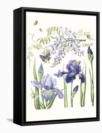 Iris & Wisteria-Janneke Brinkman-Salentijn-Framed Stretched Canvas