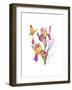 Iris with Yellow Butterfly, 2016-John Keeling-Framed Giclee Print