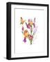 Iris with Yellow Butterfly, 2016-John Keeling-Framed Giclee Print