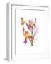 Iris with Yellow Butterfly, 2016-John Keeling-Framed Giclee Print