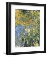 Iris-Claude Monet-Framed Art Print