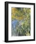 Iris-Claude Monet-Framed Art Print