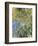 Iris-Claude Monet-Framed Art Print