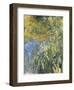 Iris-Claude Monet-Framed Art Print