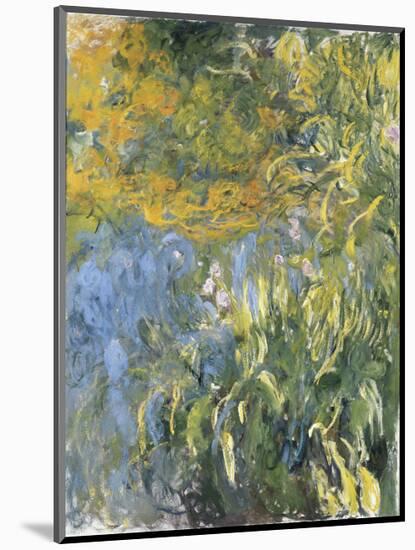 Iris-Claude Monet-Mounted Art Print