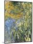 Iris-Claude Monet-Mounted Art Print