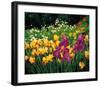 Iris-Liliane Fournier-Framed Art Print