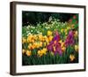 Iris-Liliane Fournier-Framed Art Print